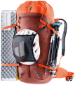 3361323-5912-Guide30_redwood_papaya-D-04.png